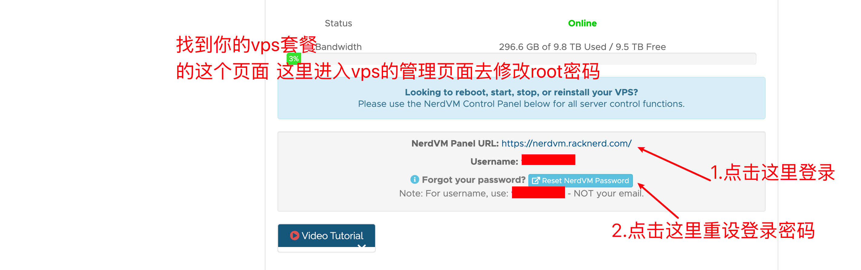 RackNerd VPS 修改 Root 密码详细教程(含面板操作)