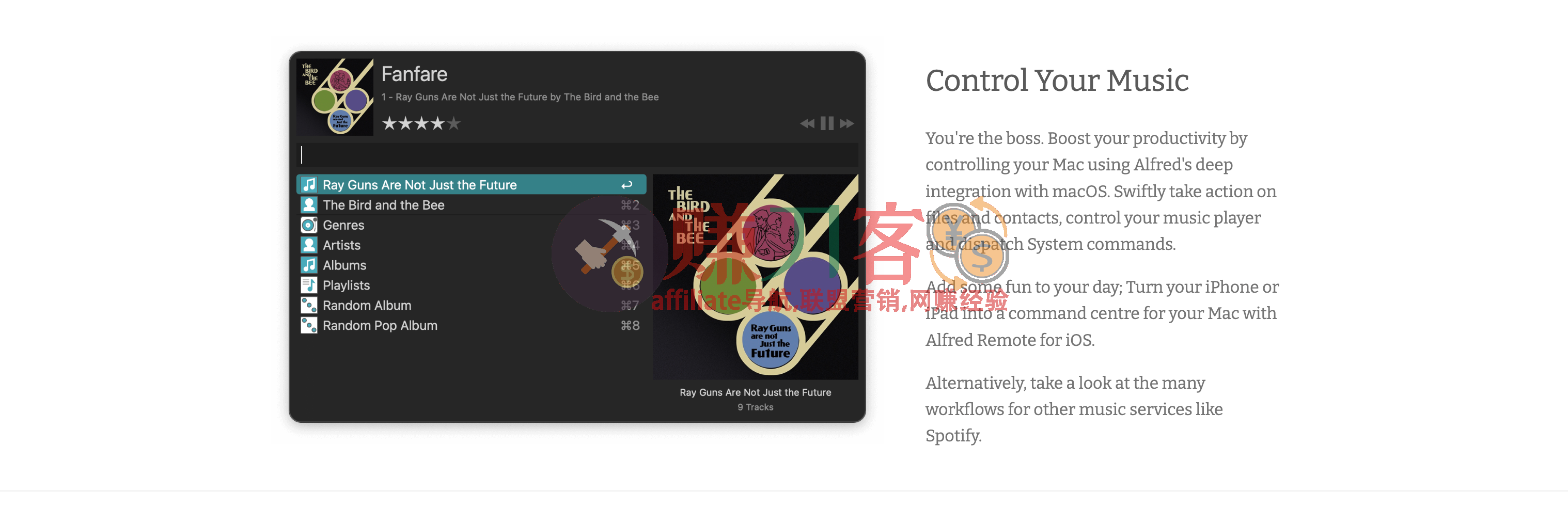Alfred官网:macOS平台上一款知名的效率工具,快速启动软件、搜索本地文件和网页-图片5